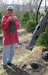 extracted stump